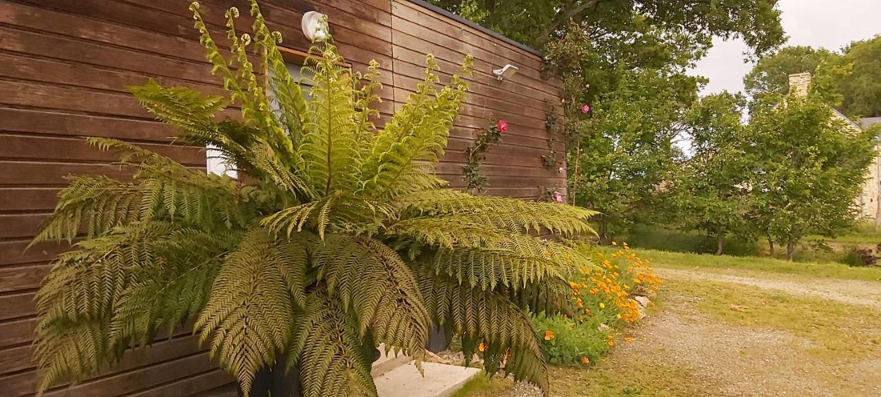 L'Oustaou Du Bodo Bed & Breakfast Ambon Екстериор снимка